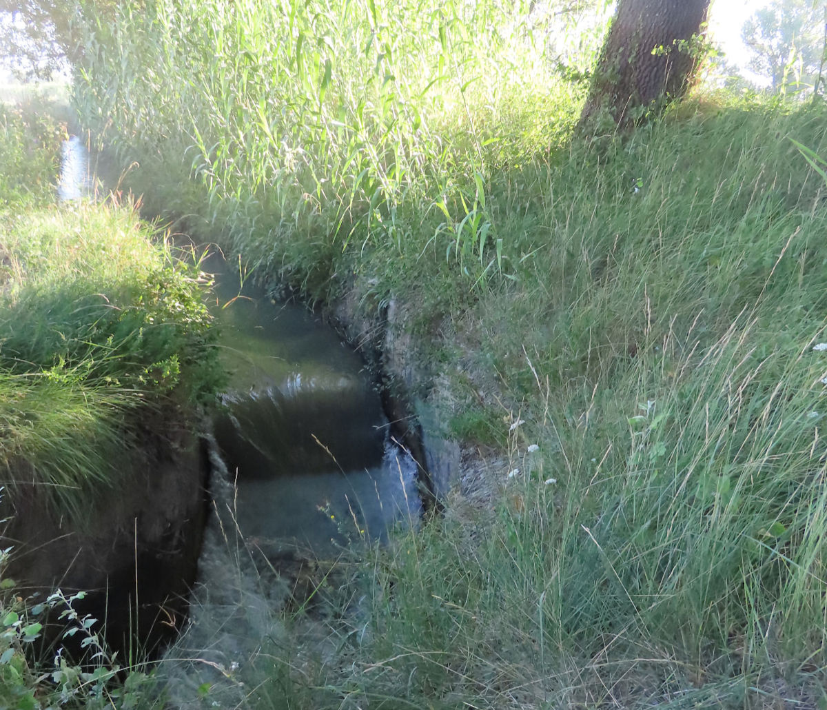 Le canal, au départ, chemin de la digue.