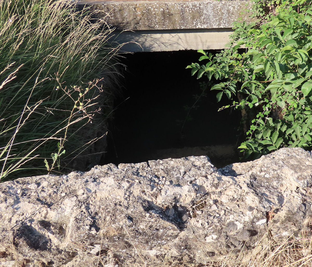 pont, sortie de la voiferrée