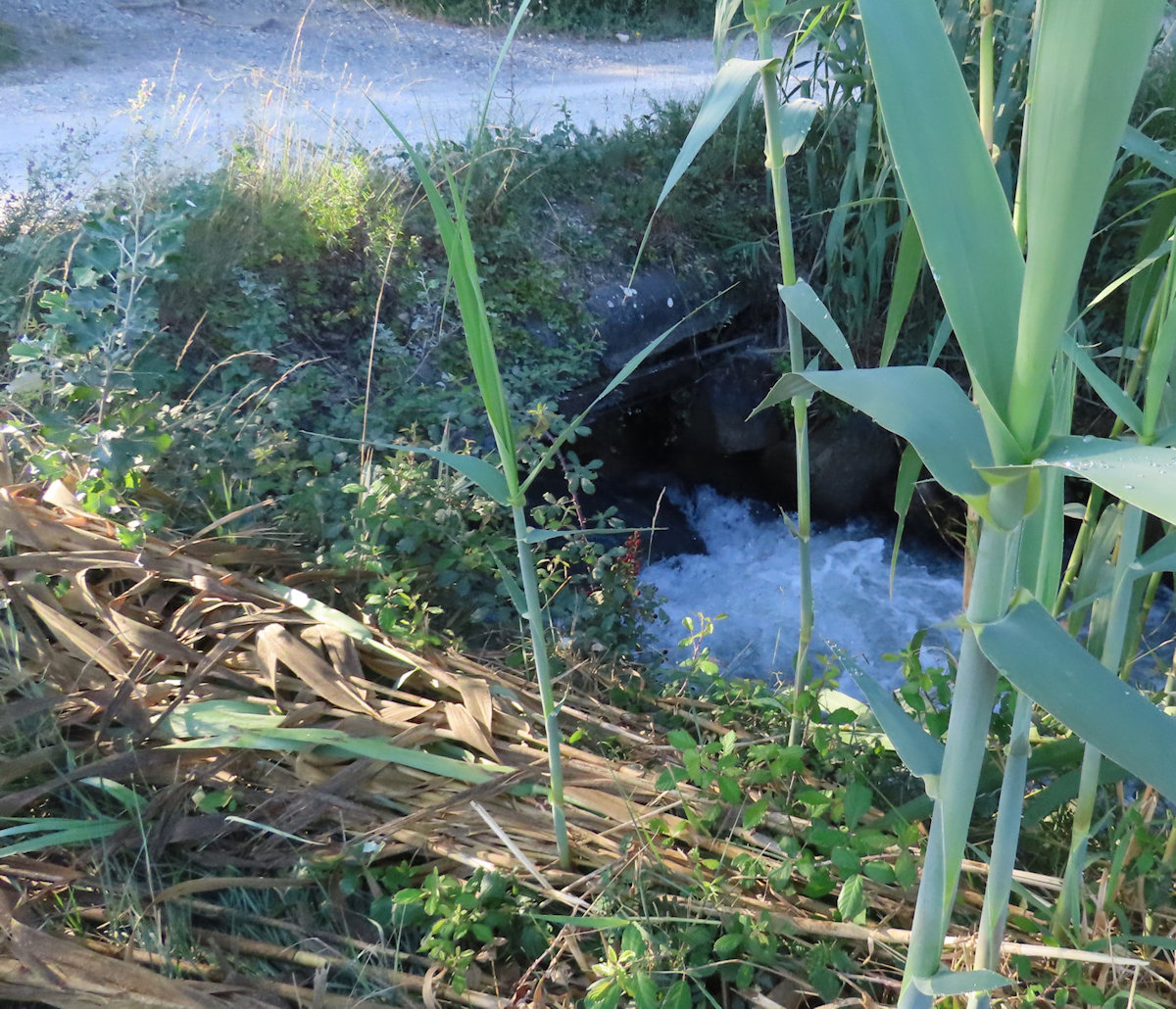 passage sous le chemin ...
