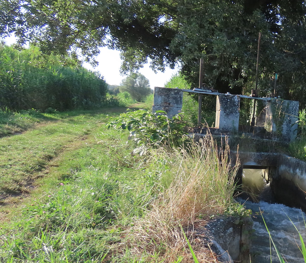 une jolie balade le long du canal